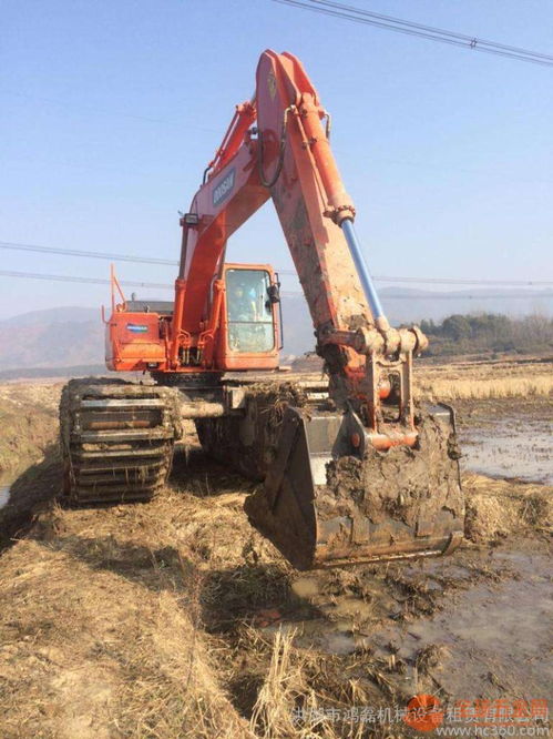 湖北210美國卡特水陸挖機(jī)租賃助力江南灘涂開發(fā)治理